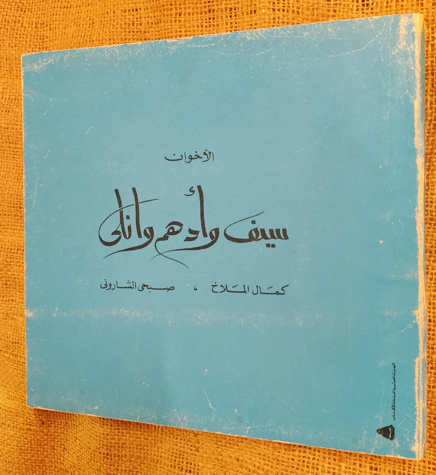 الأخوان سيف وأدهم وانلي