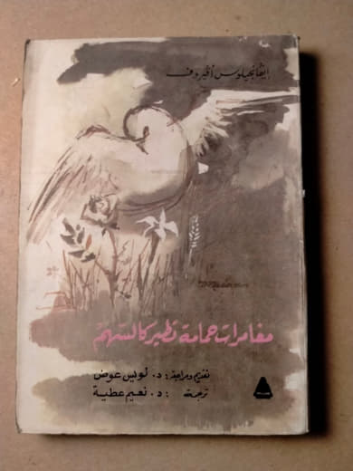 مغامرات عمارة ظهيركا