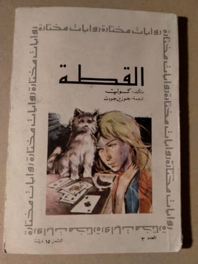 القطة