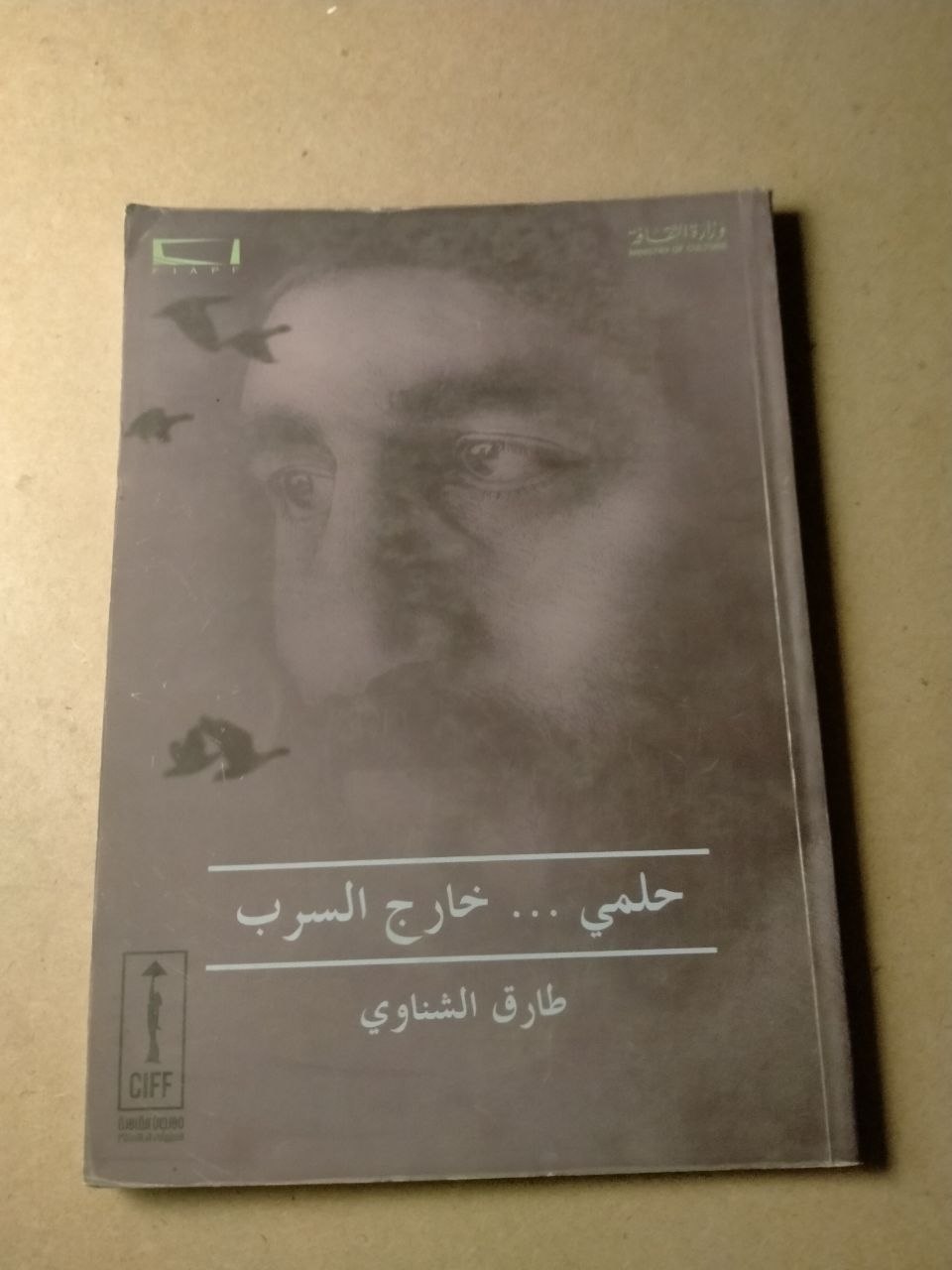 حلمي ... خارج السرب