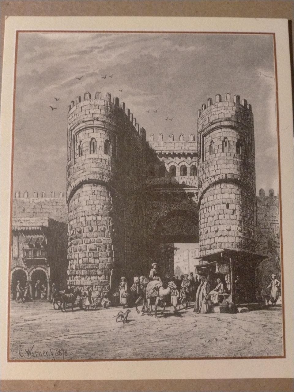 Post Card , Gate El Futtuh