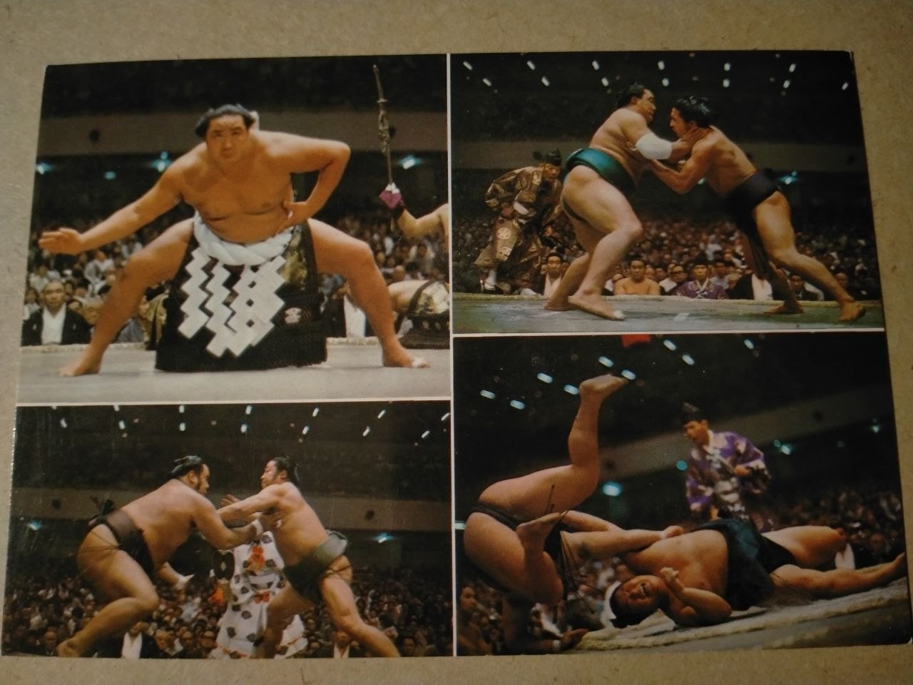 Post Card , SUMO