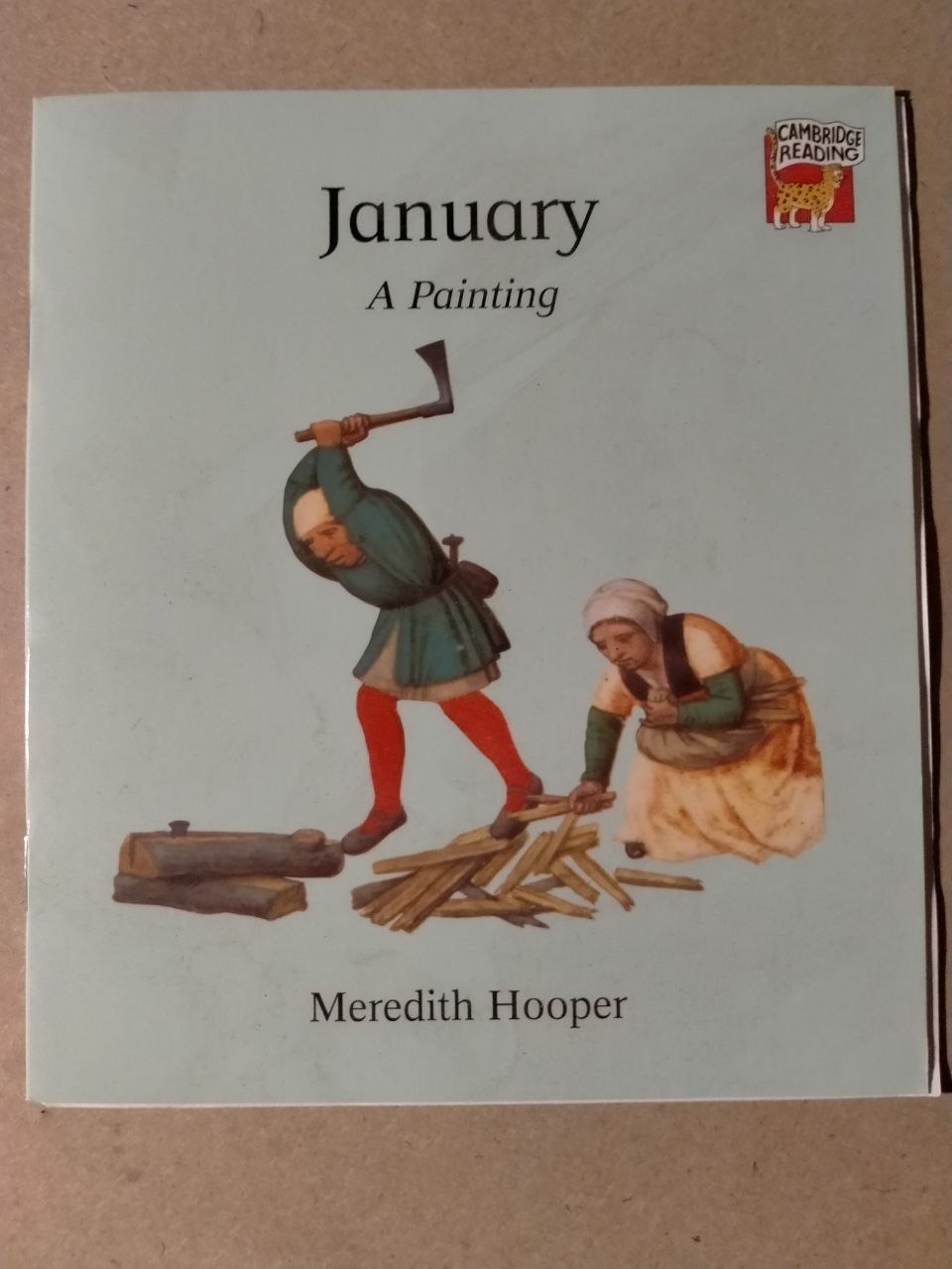 January : a painting / Meredith Hooper