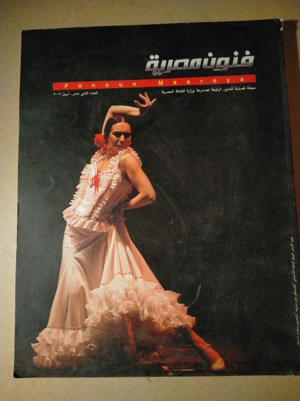 العدد الثاني عشر - 2007