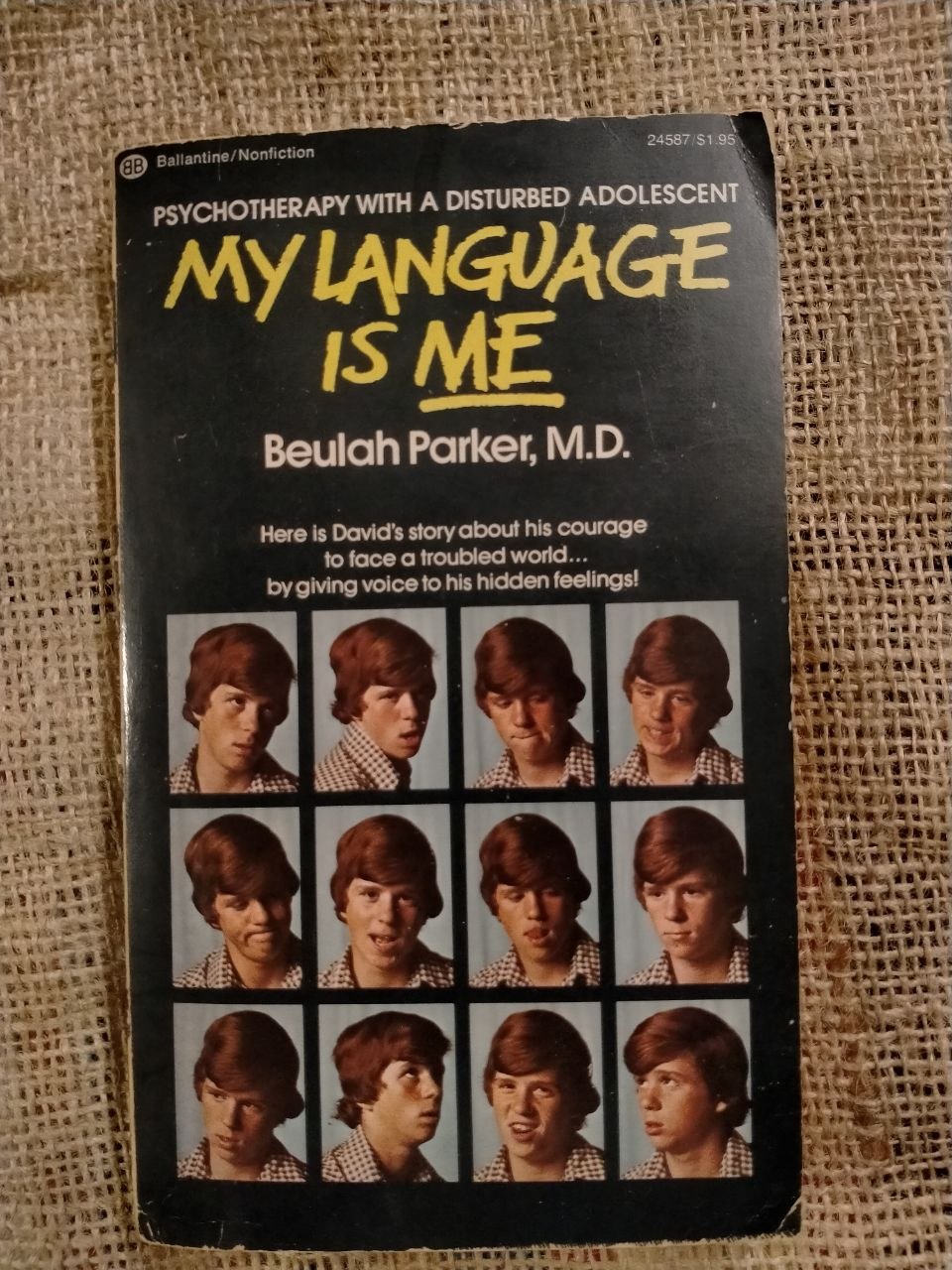 My Language Is Me: Psychotherapy with a Disturbed Adolescent