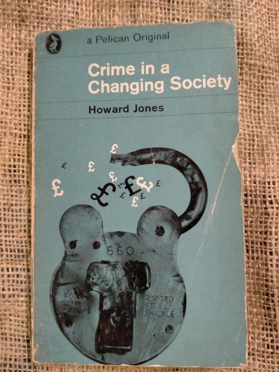 Crime in a Changing Society