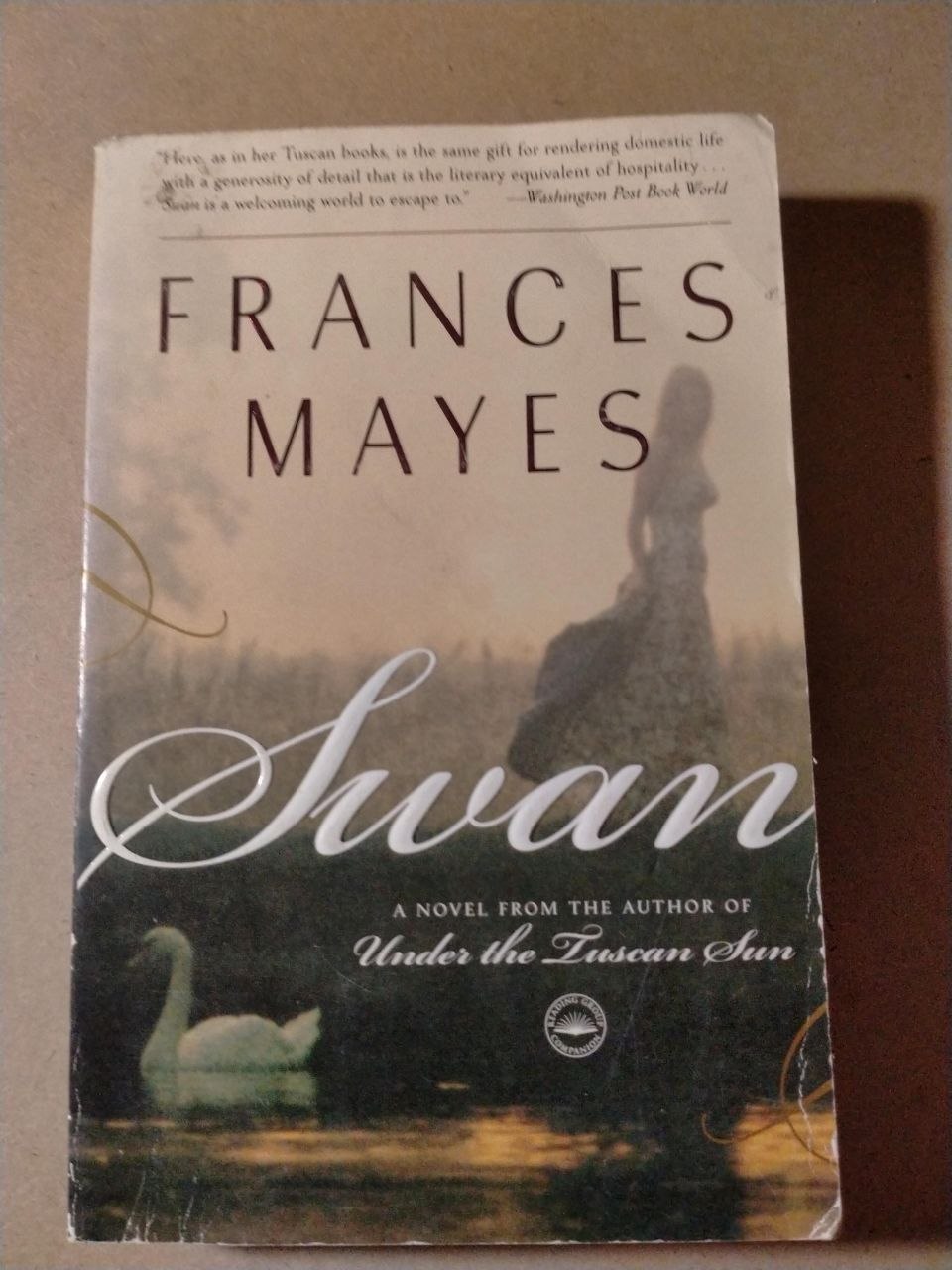 Swan: A Novel