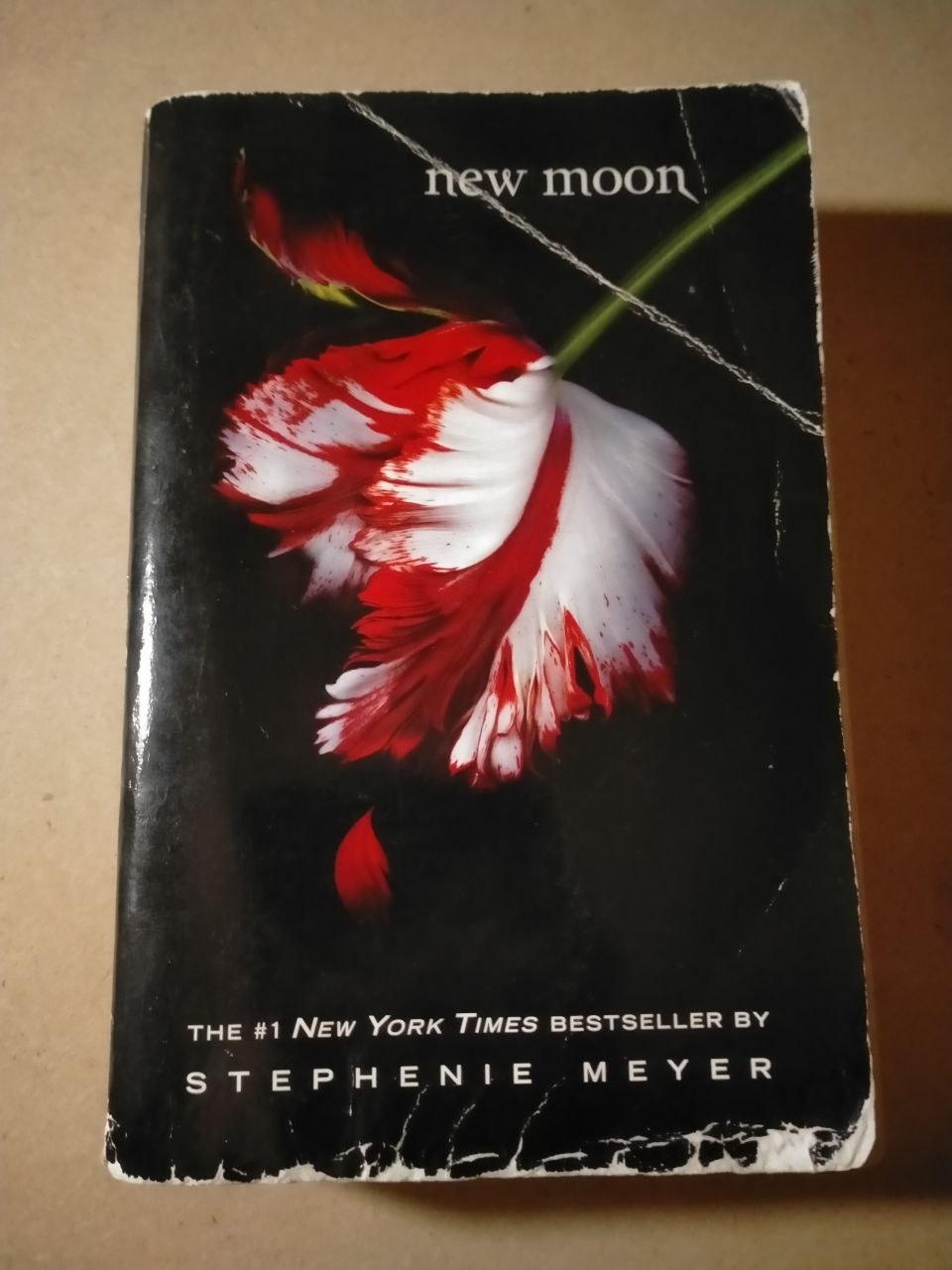 New Moon