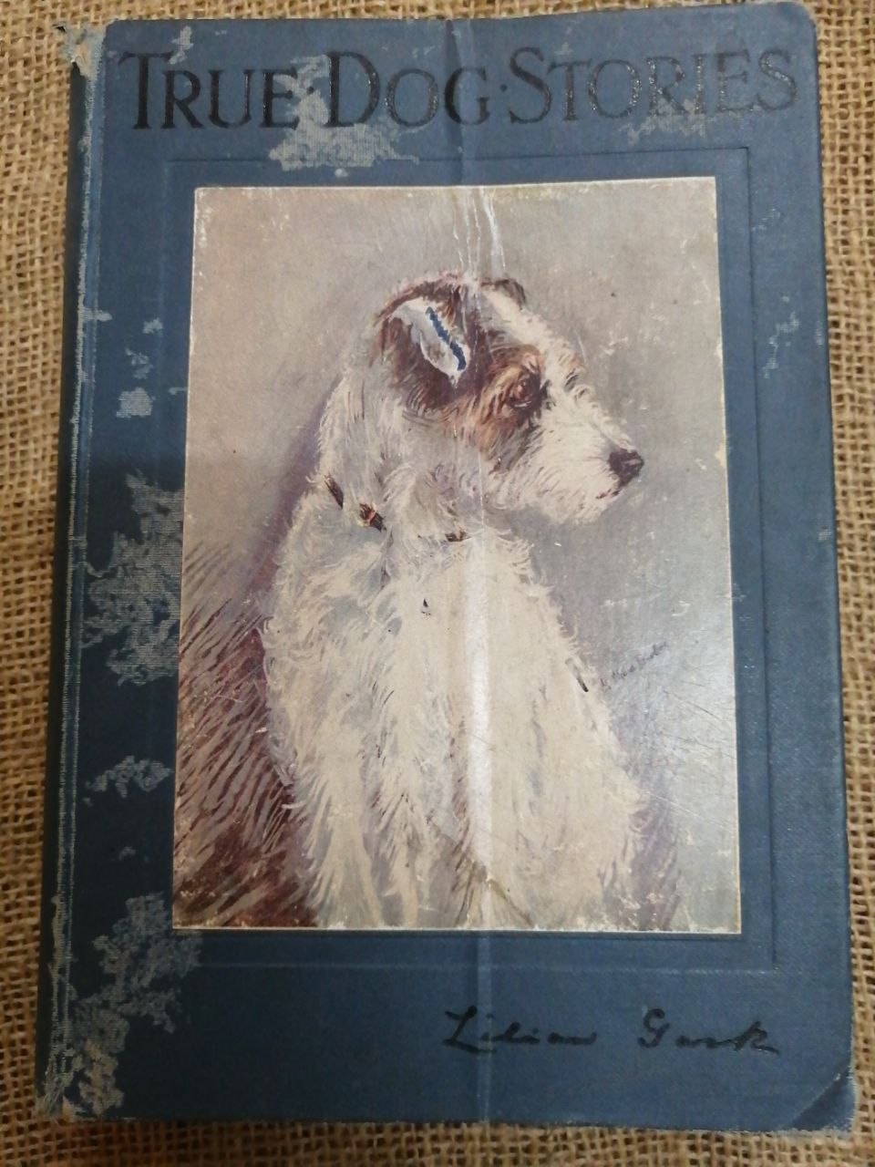 True Dog Stories