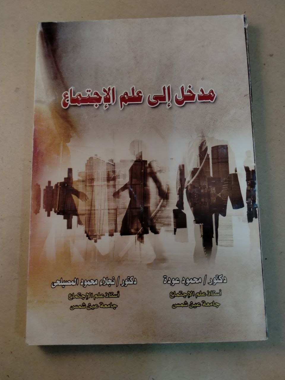مدخل إلى علم الاجتماع